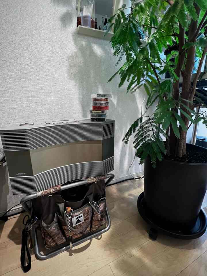 木目調の床と黒い植木鉢がある空間にBOSEのオーディオシステムとキャスター付きのプランタートレイが配置された自然な印象のインテリア