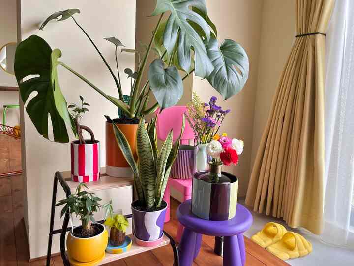 #リビング #リビング #リビング植物 #リビングインテリア #観葉植物 #グリーン #IKEA #TESAMMANS #植木鉢 #植木鉢インテリア #カラフル #カラフルなインテリア #リノベーション #リノベ #一戸建て #一戸建てリノベ #ミッドセンチュリー #midcentury #colorful #colorfulinterior #renovation