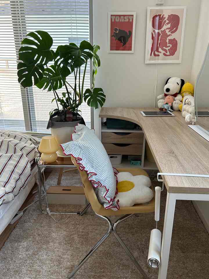 Natural tone studio apartment bedroom featuring a desk, cushions, and a large plant creating a cozy atmosphere