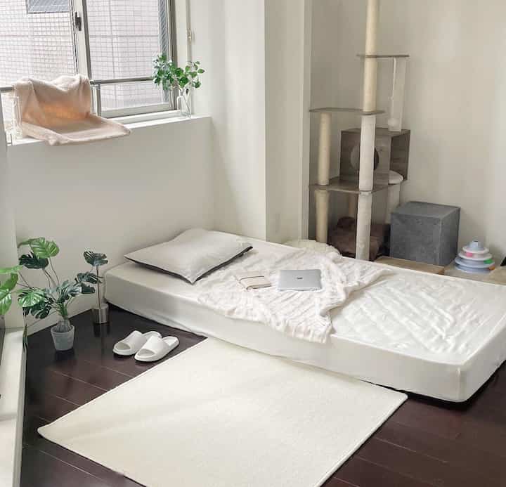 Bright white-toned studio bedroom featuring a low bed, cat tower, and plants in a clean layout