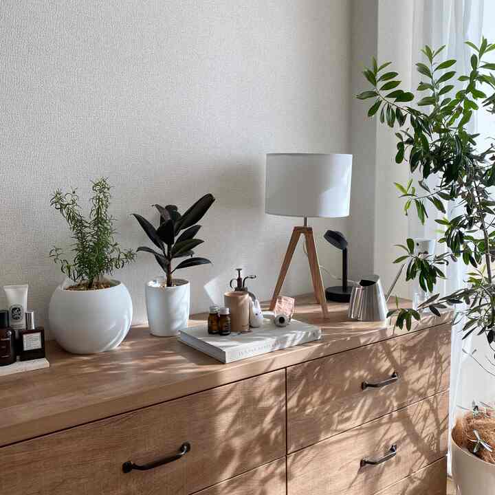 ナチュラルな木製チェストの上に植物とテーブルランプが配置された明るく清潔感のあるインテリア