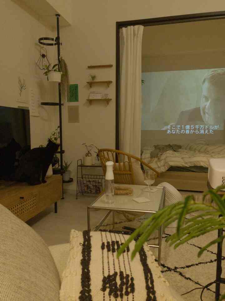 白い壁と木目調家具の1LDKリビング兼ホームシネマ空間、テレビ台の上に黒い猫がいる
