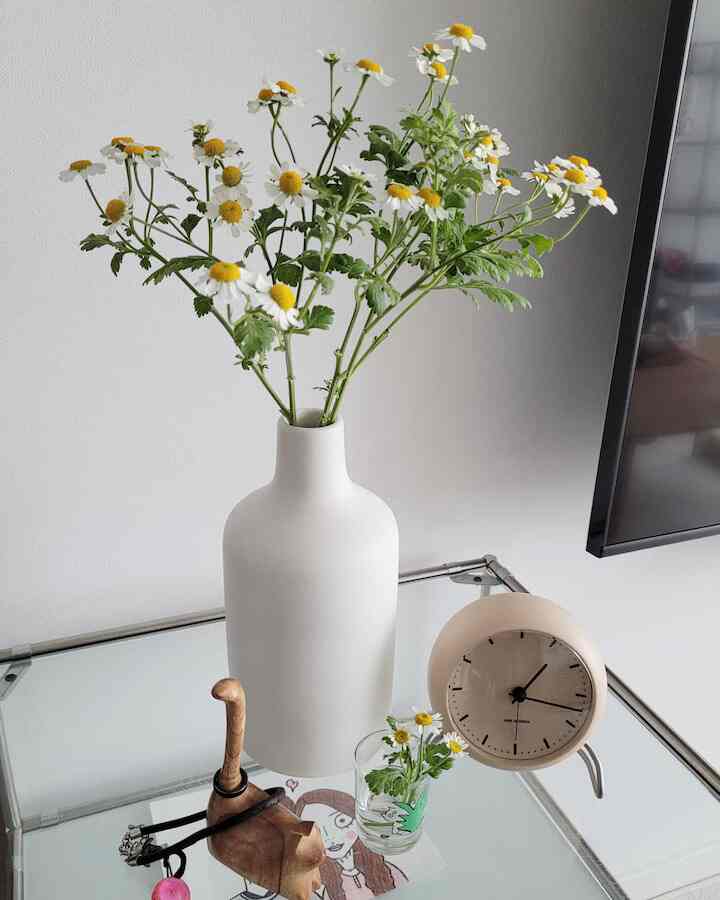 Displaying cherished trinkets. #DecorFavorites #PersonalTouches #HomeStyling