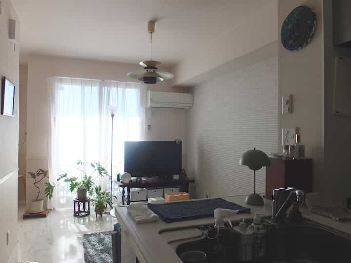 White-toned living and kitchen area featuring central pendant light and plants creating a natural and modern interior