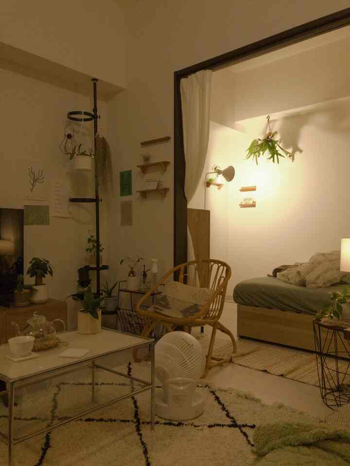 Natural toned 1LDK living and bedroom space featuring wooden furniture and various plants with a warm atmosphere