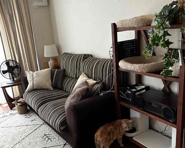 ベージュとブラウンの色調のリビング、ストライプのソファとペットベッド、猫がいる落ち着いた空間