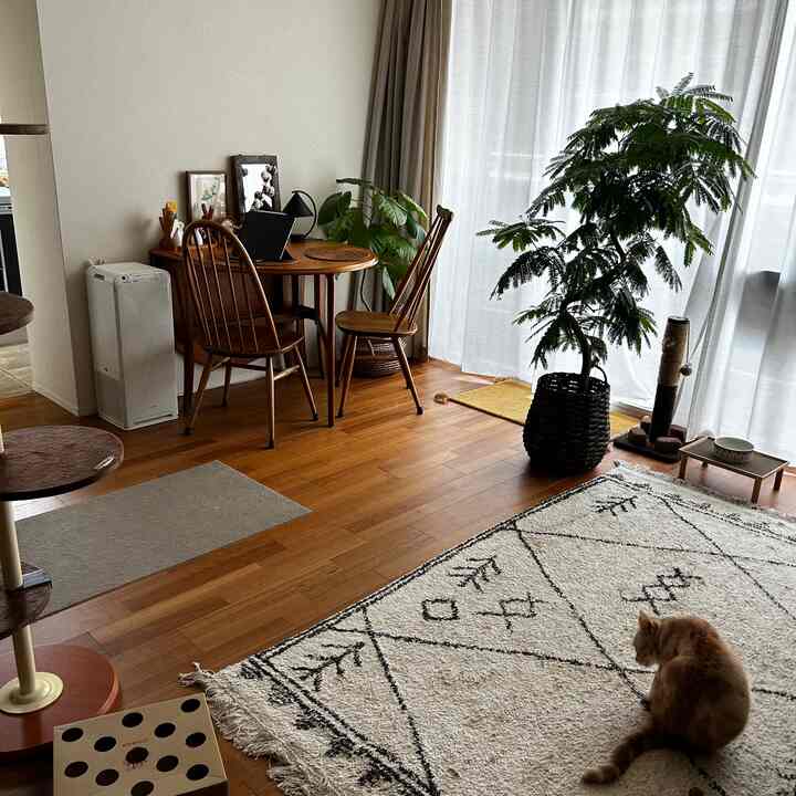 木目調のフローリングとナチュラルな雰囲気のリビング、猫とペット用品が配置された落ち着いた空間