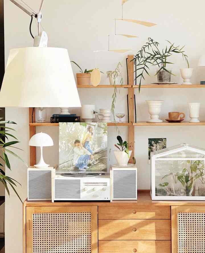 Plants that bring freshness to the space. #GreeneryMagic #IndoorGarden #BotanicalBliss