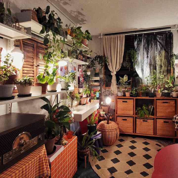 Natural-toned living room featuring abundant plants on shelves and rattan baskets creating a cozy, earthy atmosphere