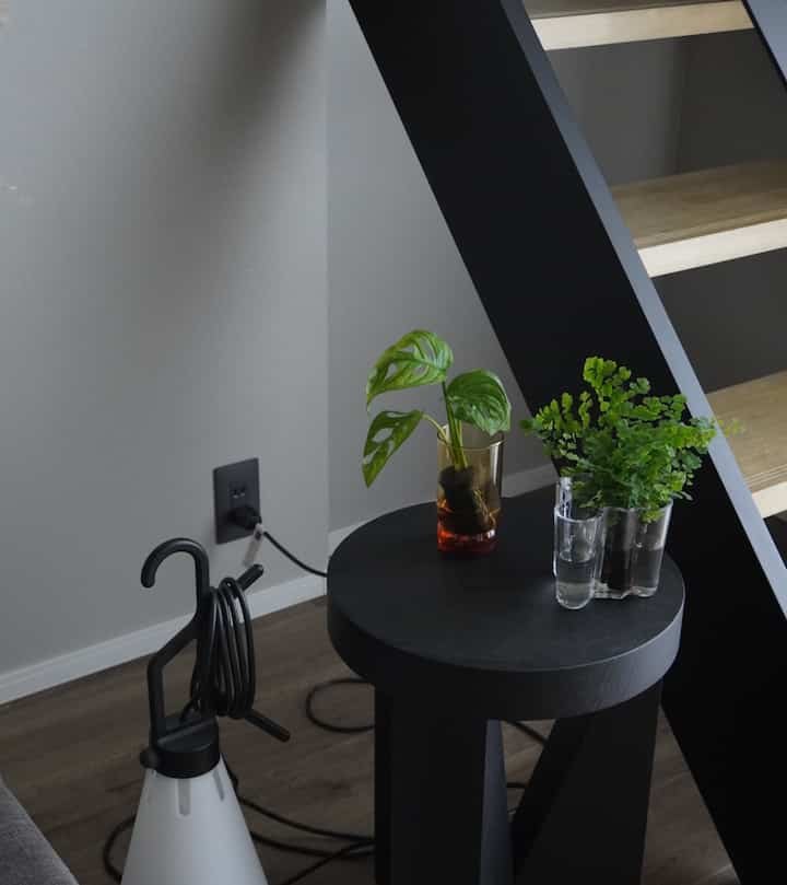 グリーンがあると違った印象に。
　
#グリーン #観葉植物
#クッチーノ #リビングインテリア