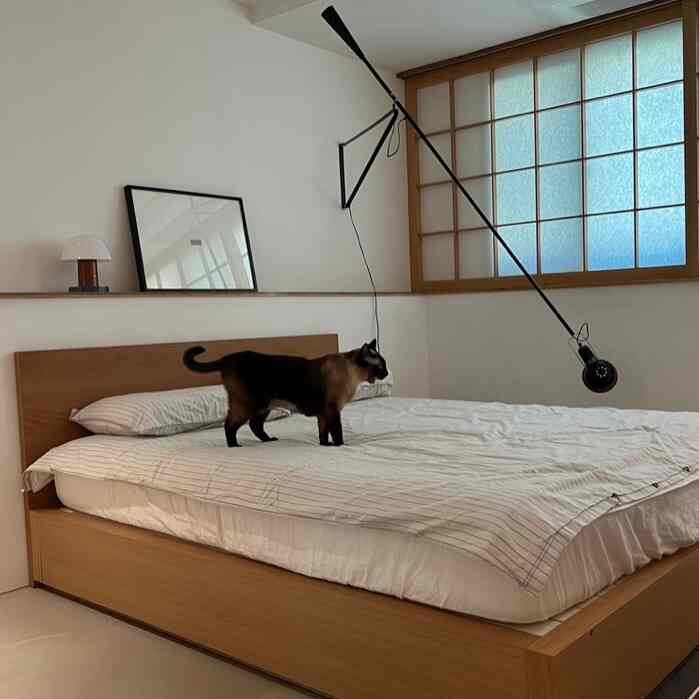 Simple bedroom with natural wood tones and white hues, featuring a cat on the bed and accent wall lighting