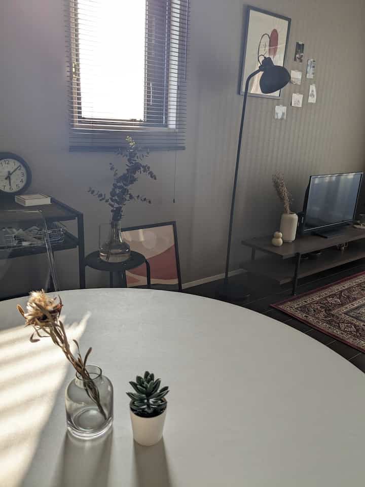 Soft gray and brown toned two-person dining room and living area featuring modern furniture and plants in a cozy setting