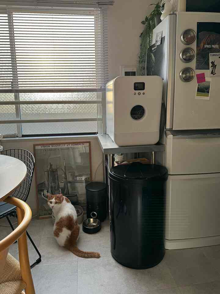 #一人暮らし部屋
#一人暮らし 
#一人暮らし家電
#家電
#猫と家 
#1LDK 
#シンプルなインテリア 