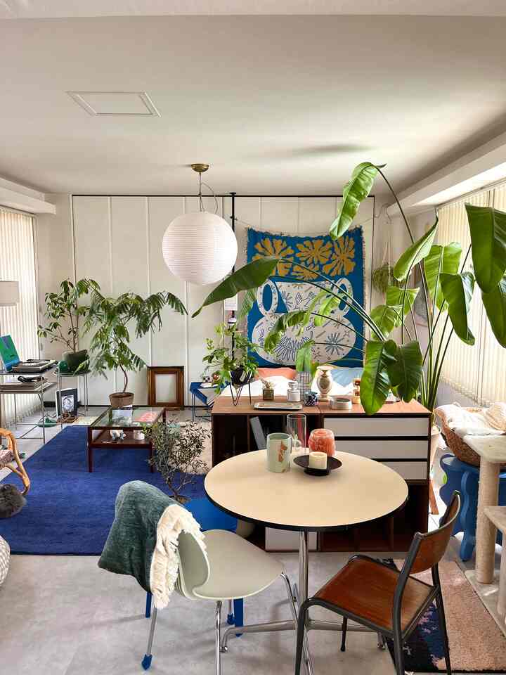 ブルーのラグとミッドセンチュリーモダン家具が配置されたリビング、多様な植物とペット用品のある雰囲気のあるインテリア