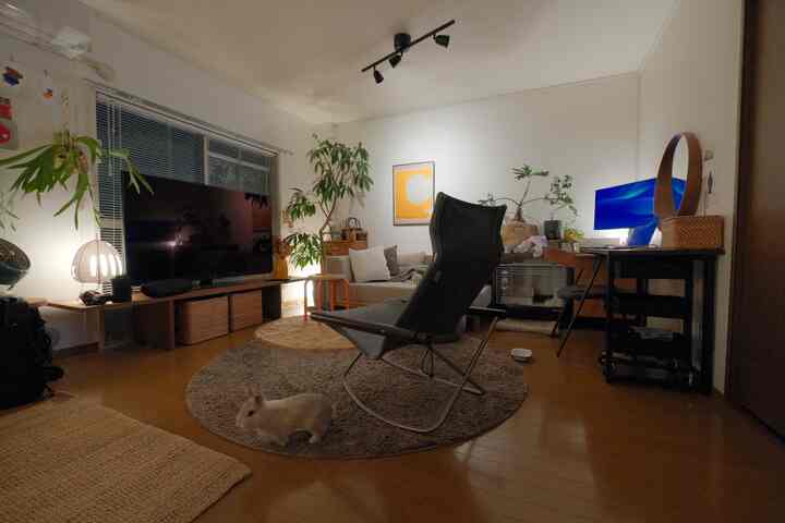 ナチュラルな色調の1LDKリビング、アームチェアとソファ、ラグ、ペットのウサギがいる温かみのある空間