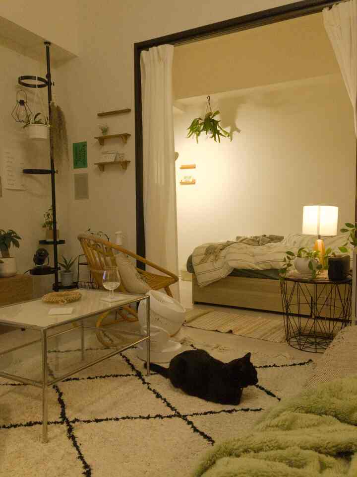 アイボリーとブラウンのトーンの1LDKリビングと寝室、黒猫がいるナチュラルで落ち着いた雰囲気のインテリア