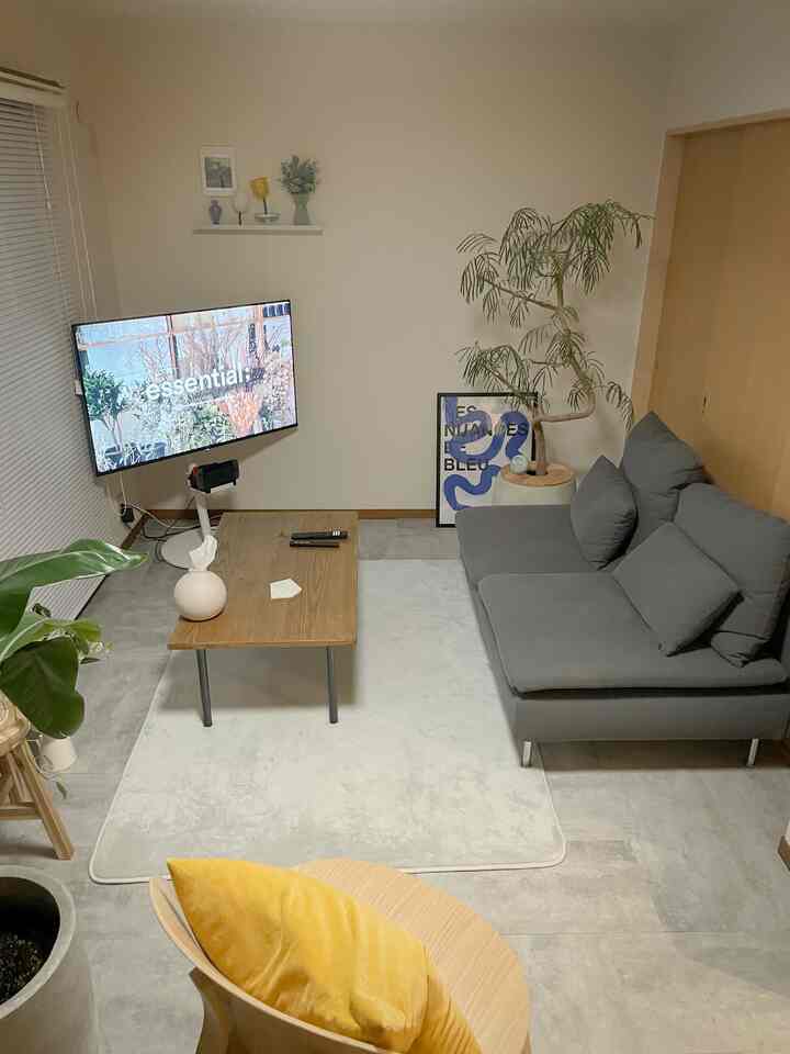 Natural-toned two-person living room featuring gray sectional sofa and wooden coffee table