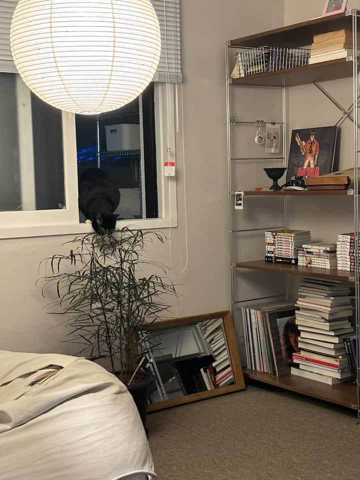 White and brown toned living room with a cat by the window, featuring natural and minimal atmosphere