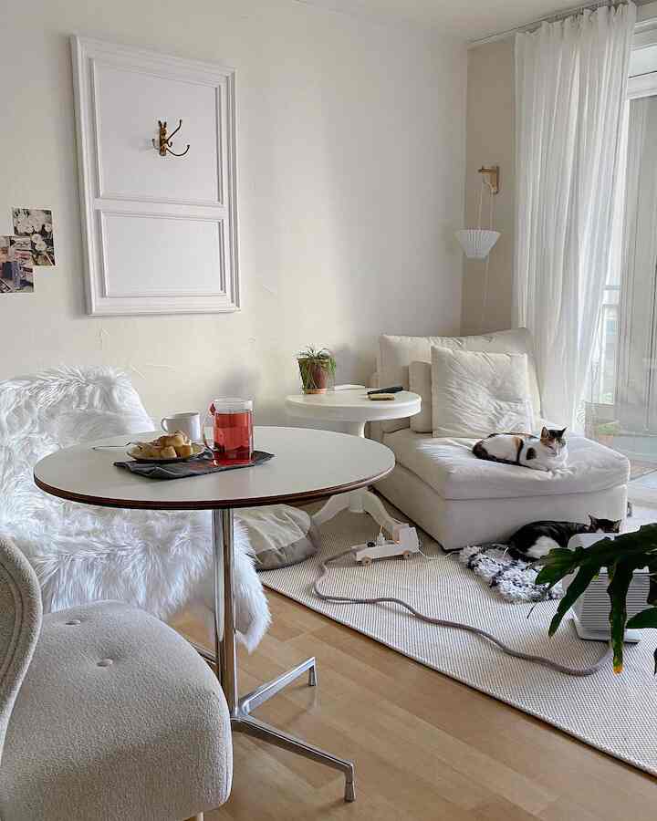 A lazy afternoon with the kitty. 🐱💤 #LazyAfternoon #FurryFriend #CozyVibes