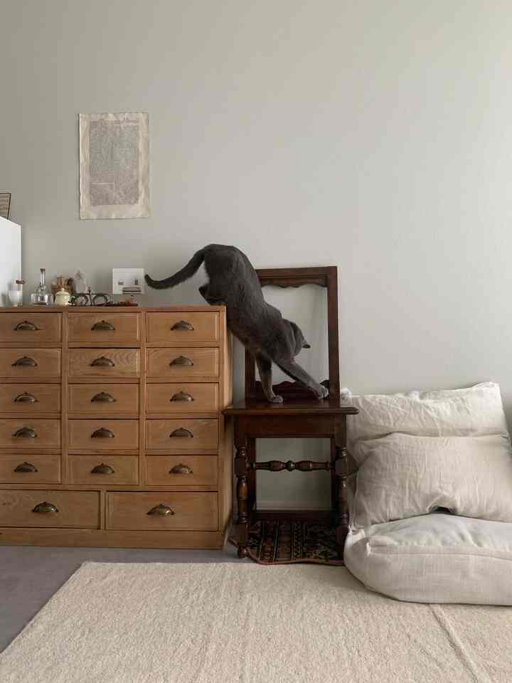 
Relaxing~

#Rental Living #1ldk #アンティークインテリア
#Rental Interior #洗えるラグ #リネン #ジャパンディ