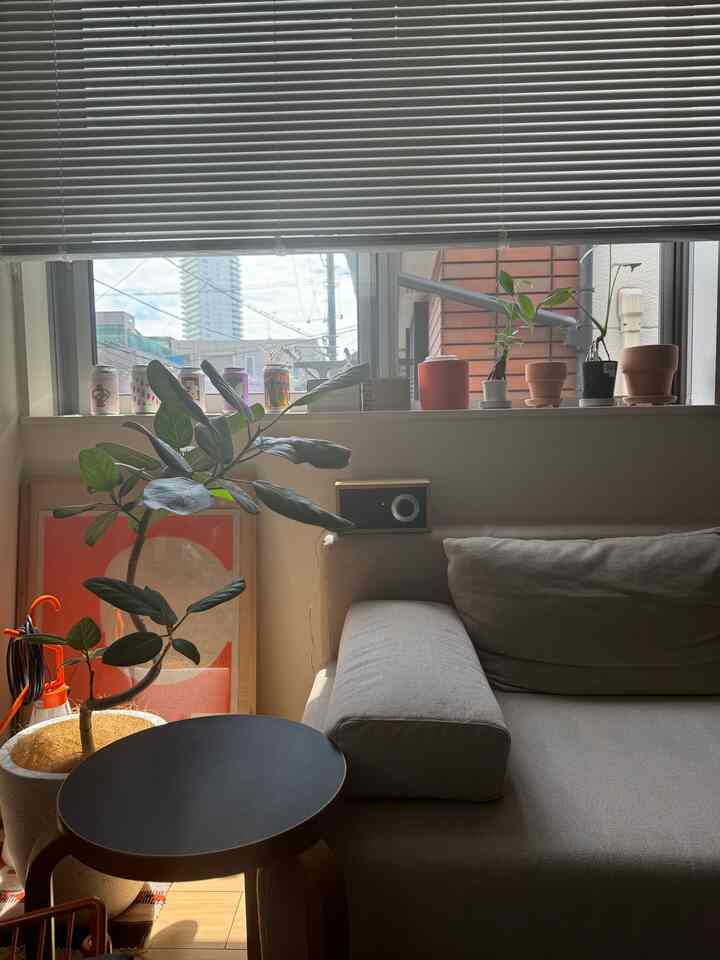 オーディオと窓を彩るアイテムたち🌱🥫

#tivoli #オーディオ #グリーン #グリーンインテリア #ビール缶 #小物 #小物ディスプレイ 