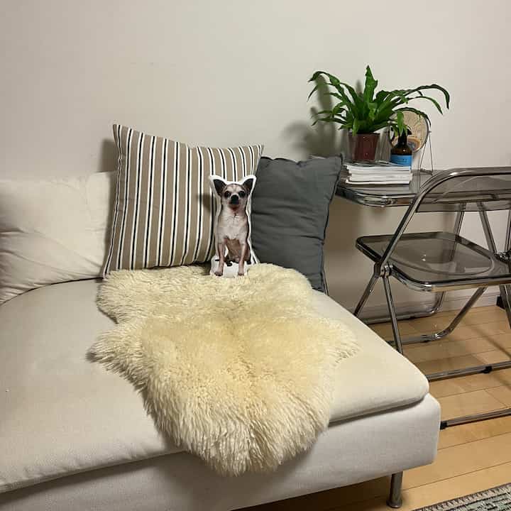 White and beige toned living room featuring sofa with dog-shaped cushion, plant, and side table in a natural setting