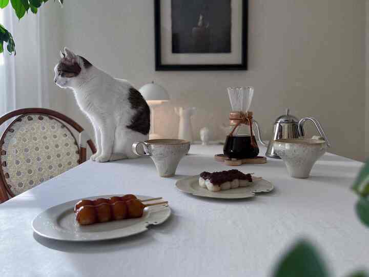 みたらし団子大大大好物。
コーヒーと合う！

#食器 #器 #器のある暮らし #食器集め #器集め #器好き #テーブル #テーブル周り #テーブルインテリア #テーブルウェア #コーヒータイム #コーヒー・ティー用品 #コーヒー #コーヒーポット #カフェインテリア #カフェ雰囲気 #おうちカフェ #おうち時間 #丁寧な暮らし