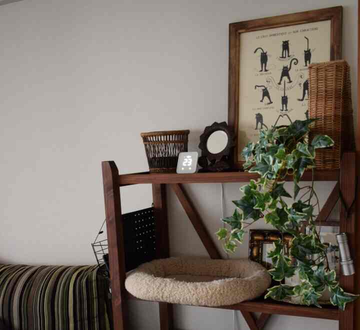 白い壁と木目調の棚があるリビング、ヴィンテージの猫ポスターと植物、キャットベッドが配置されたナチュラルな雰囲気のインテリア
