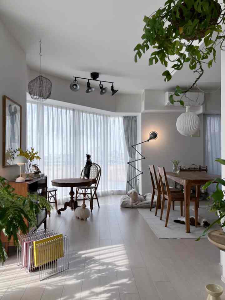 毎度おなじみ、以前のお家pic🏠
3匹勢揃いのレアショット。

#リビングインテリア #マンションインテリア #中古マンション #マンション暮らし #マンションリノベーション #リノベーション #中古マンション #中古マンションのリノベーション #猫 #猫インテリア #猫がいる暮らし #猫のいる生活 #犬がいる暮らし #愛犬 #犬と暮らす #アンティーク家具 #ヴィンテージ家具 #犬と猫のいる暮らし #グリーン #グリーンインテリア #緑のある暮らし #植物 #植物のある暮らし