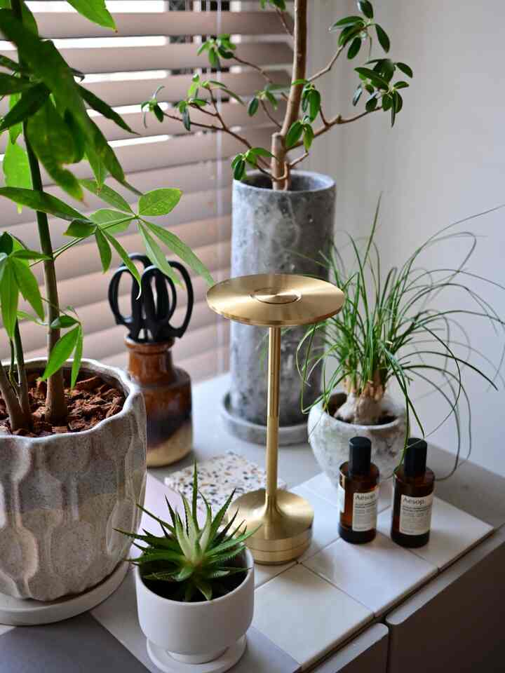 Kotak kotoran kucing disimpan di dalam penyimpanan IKEA dengan lubang untuk pintu masuk (^^)
Area diatas digunakan sebagai area tanaman hias. Gunting pemotong bunga yang direkomendasikan oleh toko bunga sangatlah tajam.
Kombinasi tanaman dan lampu meja adalah yang terbaik.
Klik di sini untuk nomor bagian tirai kayu↓
[TOSO Benewood Touch 50 (tipe keturunan otomatis)
TM-2006 Matte Abu-abu
Tali tangga (bukan pita tangga)]
Anda dapat menambahkan fungsi penurunan otomatis dengan selisih harga yang kecil, jadi menurut saya sebaiknya menambahkannya ke jendela besar. Sangat mudah untuk hanya menghapusnya.
Saya tidak menggunakan selotip karena ingin terlihat bersih. Namun menambahkan warna merah tebal dengan pita tangga pastinya lucu. Jadi terserah Anda 🥰
#Tirai #ウッドブラインド #シンプルインテリア #テーブルランプ #観葉植物 #猫トイレ