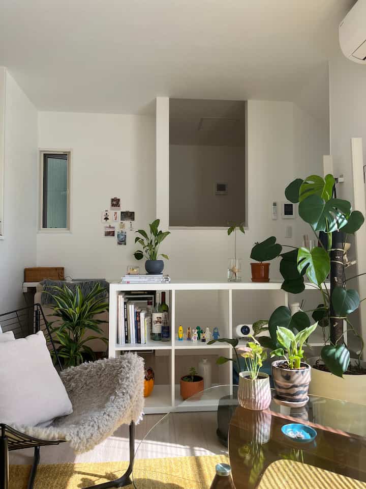 明るいホワイトトーンの壁とナチュラルな木目床の1LDKリビング、白い本棚と緑豊かな植物が配された雰囲気のあるインテリア