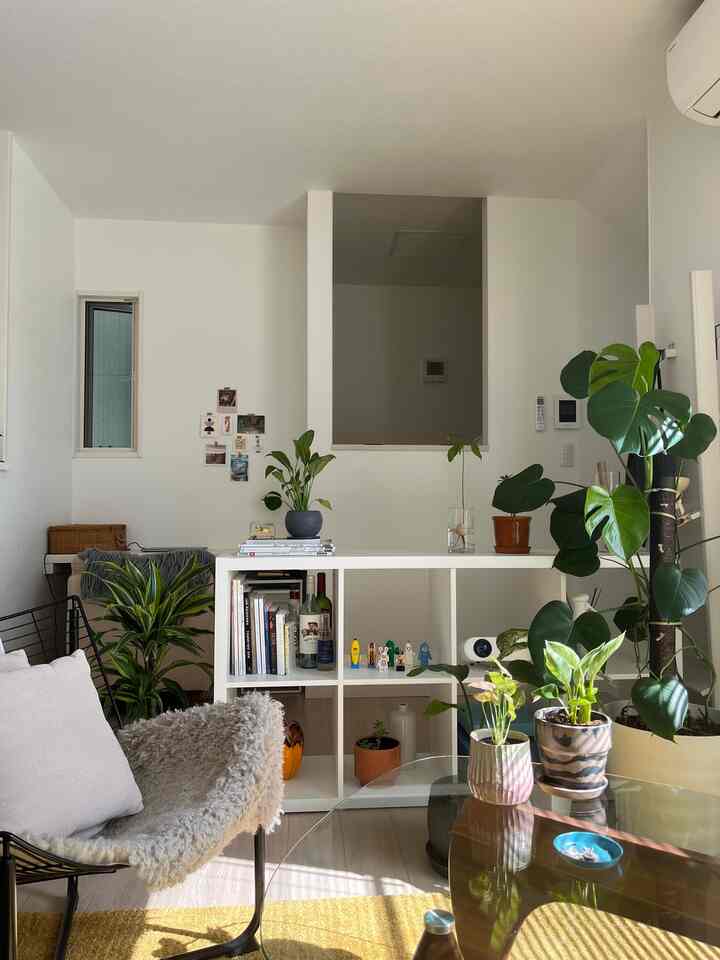 #interior #interiordesign #midcentury #1ldk #livingroomdecor #ikea #greeninterior  #cozyhome #cozyliving
#賃貸インテリア #賃貸暮らし #二人暮らし #観葉植物 #北欧インテリア #인테리어 #홈인테리어
#감성인테리어