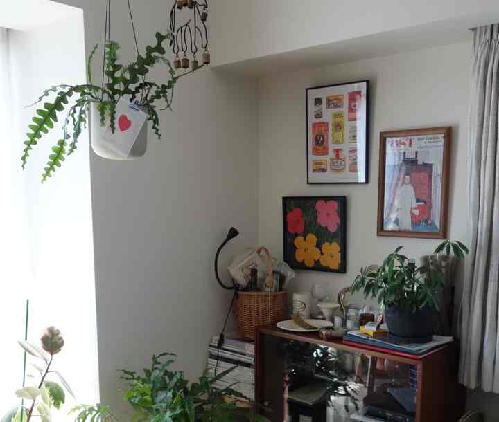Natural mood living room corner with white walls, brown wood cabinet, and various plants arranged