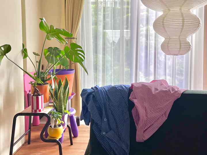 木目調の床と大きな植物、黄色いカーテンがある明るいリビングスペース