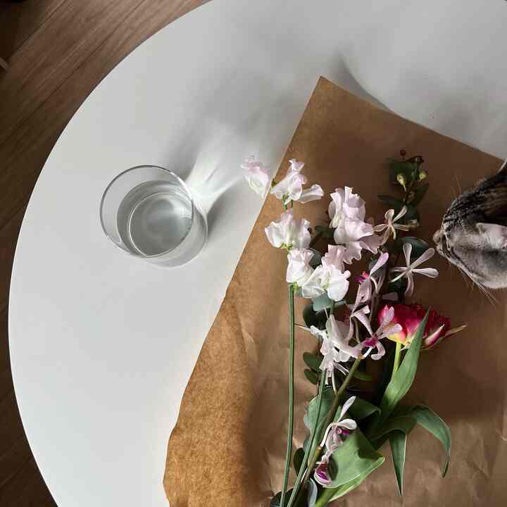お花とケーキ 🍰💐
#テーブル #ケーキ #お花