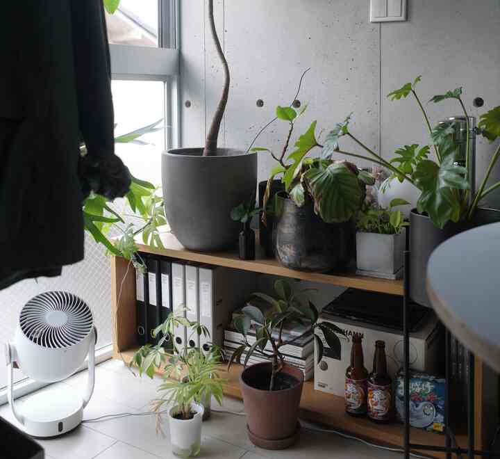 Natural color and wood tone compact home office with numerous plants, featuring simple and minimalistic interior design