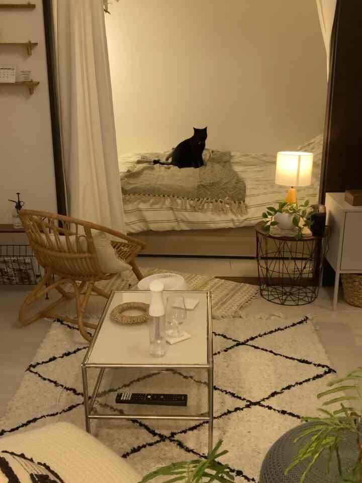 Ivory and wood tone 1LDK living and bedroom space featuring a black cat on the bed with natural style interior