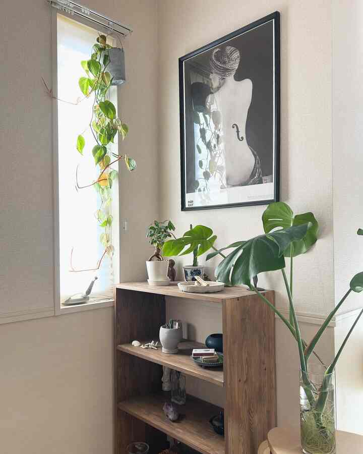 Natural-toned corner space with window-side plants, wooden shelving, and glass vase creating a calm atmosphere