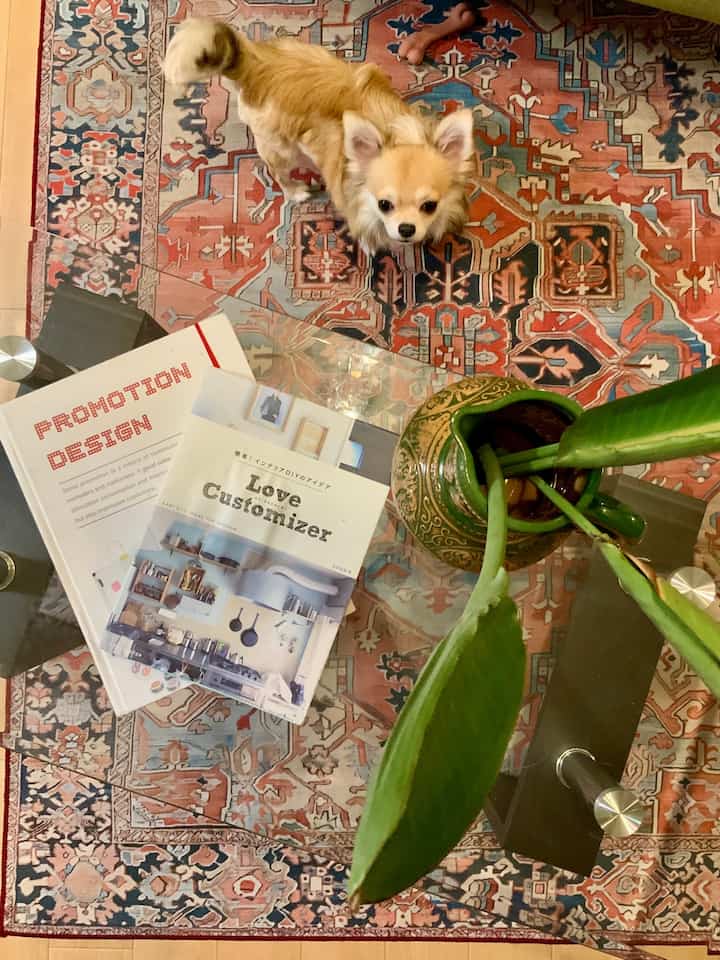 素敵な本をゲット
色合いが最高

_____________________________________________
恐竜好きの女子が
探検家みたいなお部屋を目指してます🦖

他の投稿はこちらから
☞ @kan_room_dino

#好きな場所 #暮らし #インテリア雑貨 #観葉植物  #ビンテージ #vintage #vintageinterior #賃貸 #賃貸インテリア #同棲 #恐竜 #dinosaurs #toy #賃貸diy #部屋作り #賃貸でも楽しく #恐竜好きと繋がりたい #恐竜好き女子 #ルームツアー #room #livingroom #roomdecoration #roomtour 