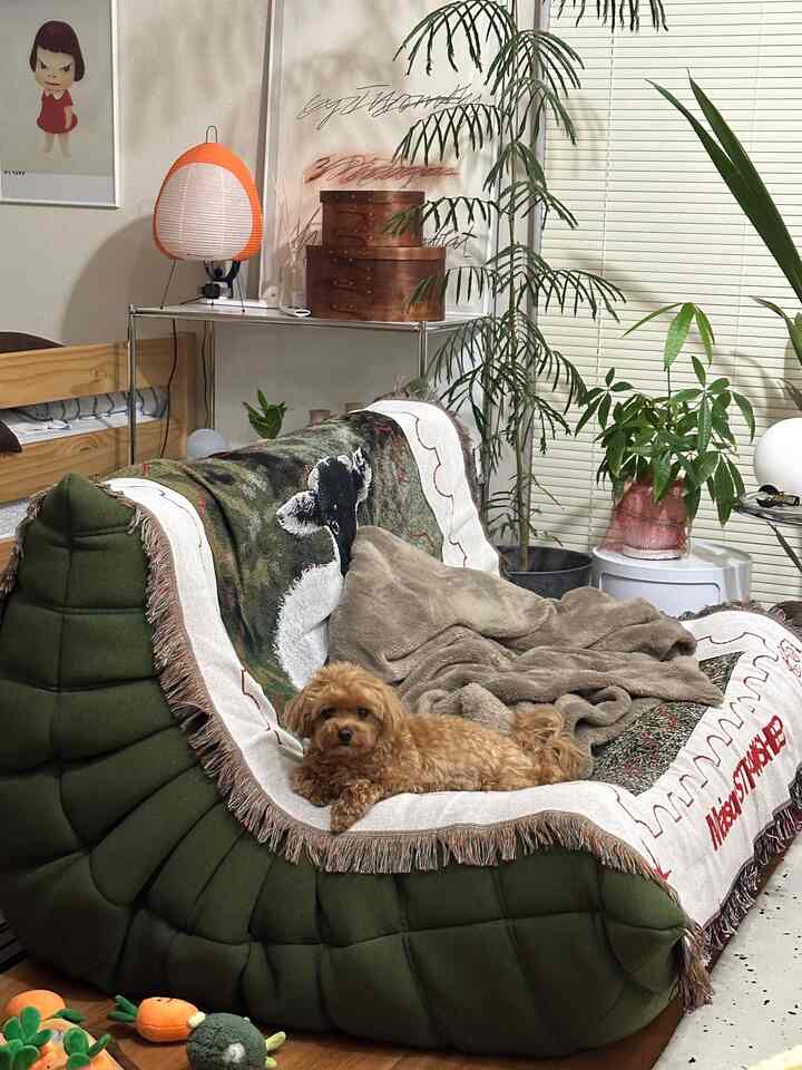 緑のトーゴソファと茶色の犬、ナチュラルな木目調と植物が調和した居心地の良いリビング