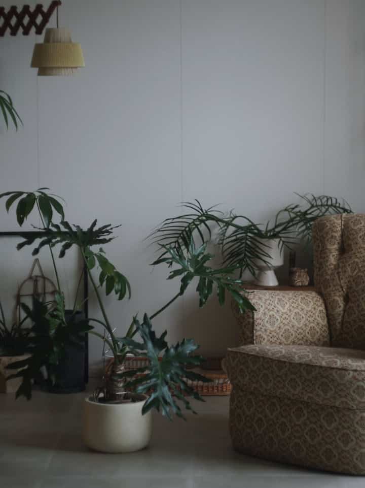 模様変えしたいけど最適案が出ません。 
#ヴィンテージソファ
#イギリス家具