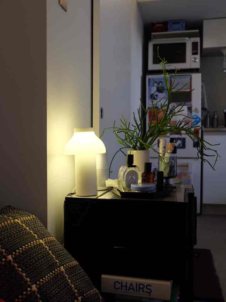 暖かい黄灯のテーブルランプが置かれた黒いキャビネットと植物があるコンパクトなワンルームのリビングスペース