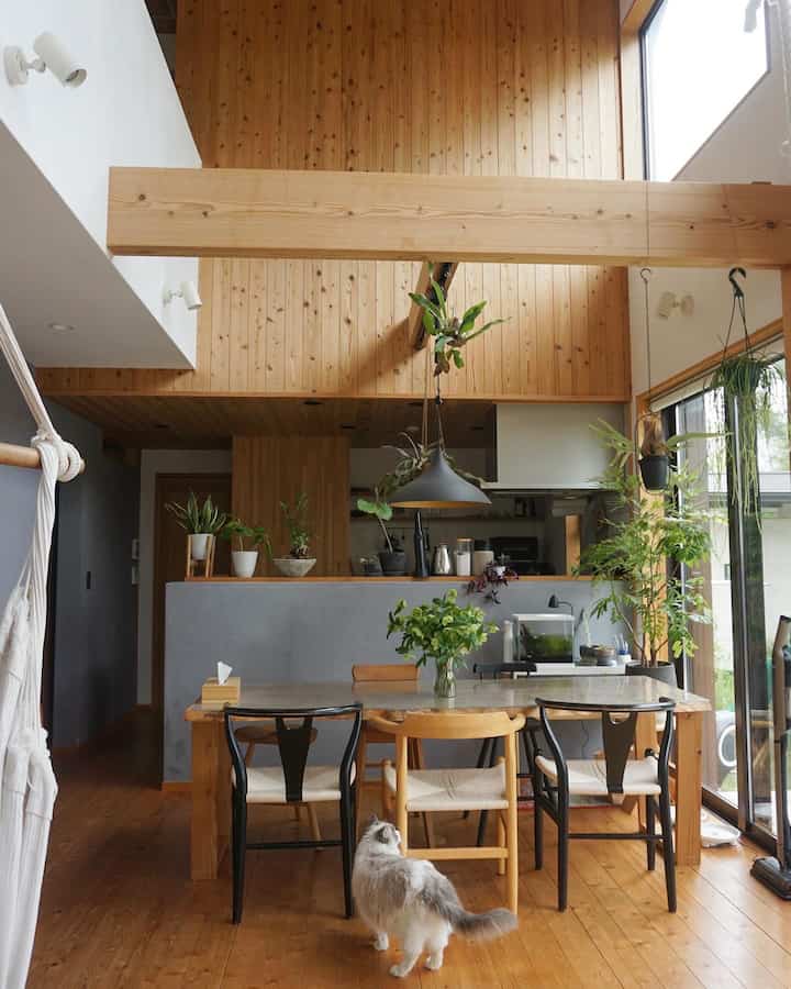 今日も優雅な猫様✨

#猫インテリア 
#吹き抜けダイニング
#無垢テーブル
#ダイニングテーブル