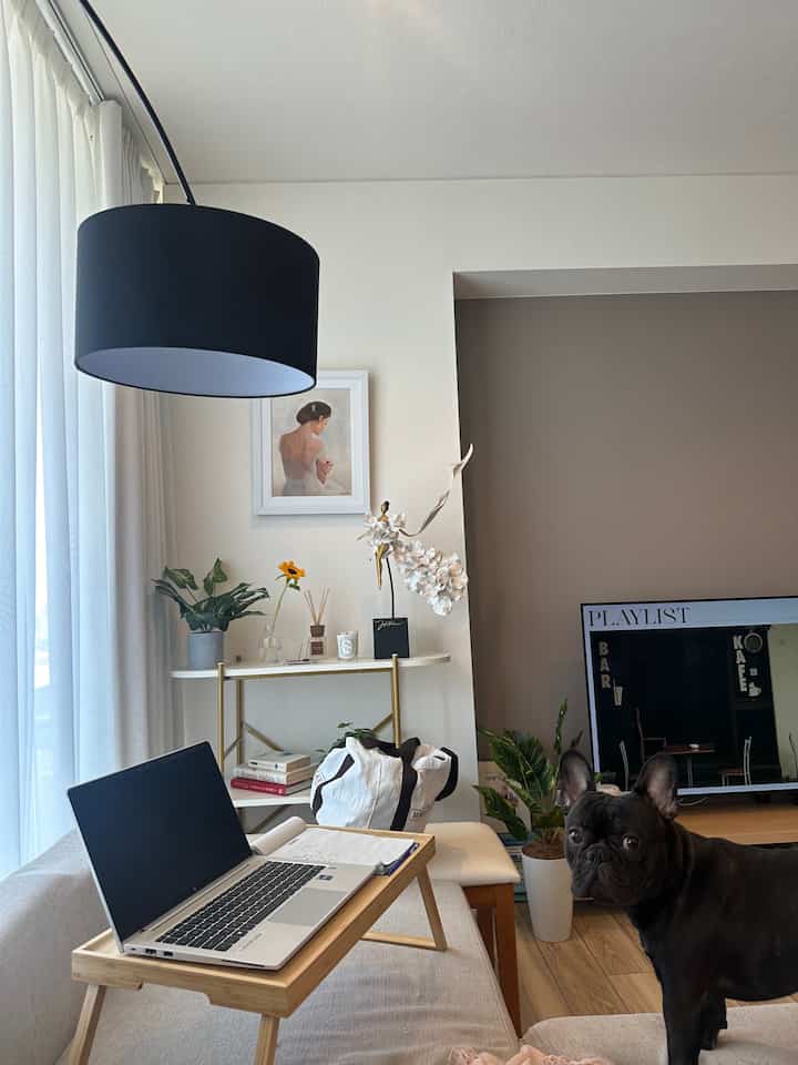 Modern living room in white and brown tones featuring a laptop on sofa and a black dog with cozy atmosphere