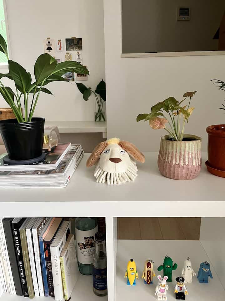 がんばれヒンモップ
商品名がもうかわいい
#interior #interiordesign #midcentury #1ldk #livingroomdecor #ikea #greeninterior  #cozyhome #cozyliving #ghibli #ジブリ  #どんぐり共和国 #ハウルの動く城
#賃貸インテリア #賃貸暮らし #二人暮らし #観葉植物 #北欧インテリア #인테리어 #홈인테리어
#감성인테리어