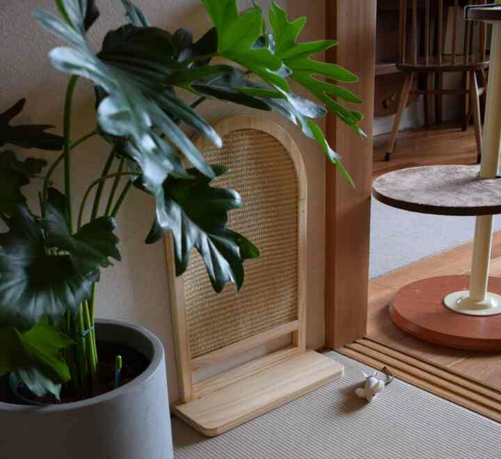 ナチュラルな色調の和室、中央にイケアの猫用爪とぎが置かれ、左側には大きな観葉植物が配された雰囲気のあるインテリア