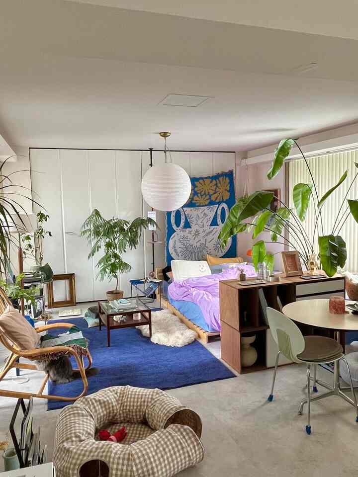 ブルーとラベンダーの色調のワンルーム寝室、ミッドセンチュリーモダンのベッドと木製家具、植物と猫が配置された自然でモダンな印象のインテリア