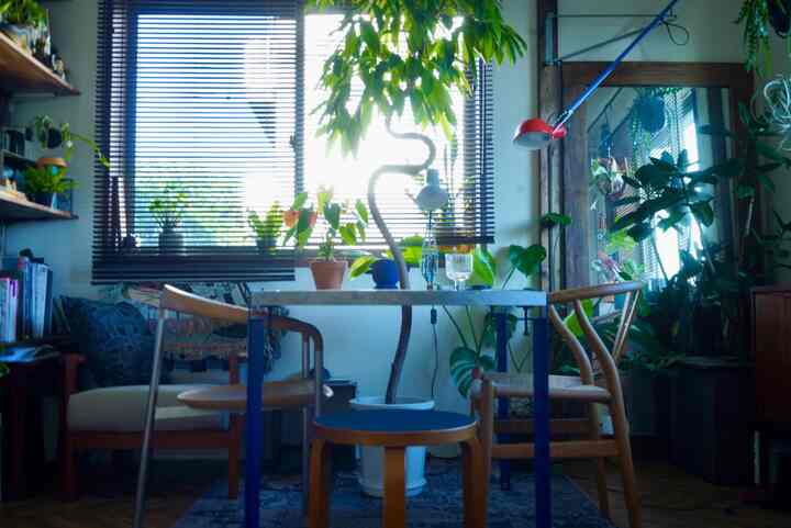 Natural-colored dining room for single household featuring Artek stool, abundant plants, and a table lamp creating a cozy atmosphere