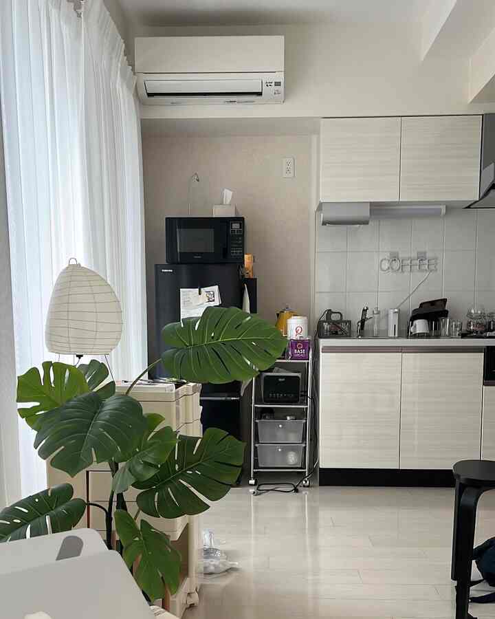 White and natural toned kitchen space featuring a monstera artificial plant and curtains with a clean atmosphere