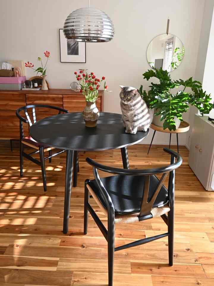 Wood tone floor and sideboard dining room featuring black round dining table with Y Chairs, a cat on table, and red flowers creating cozy atmosphere